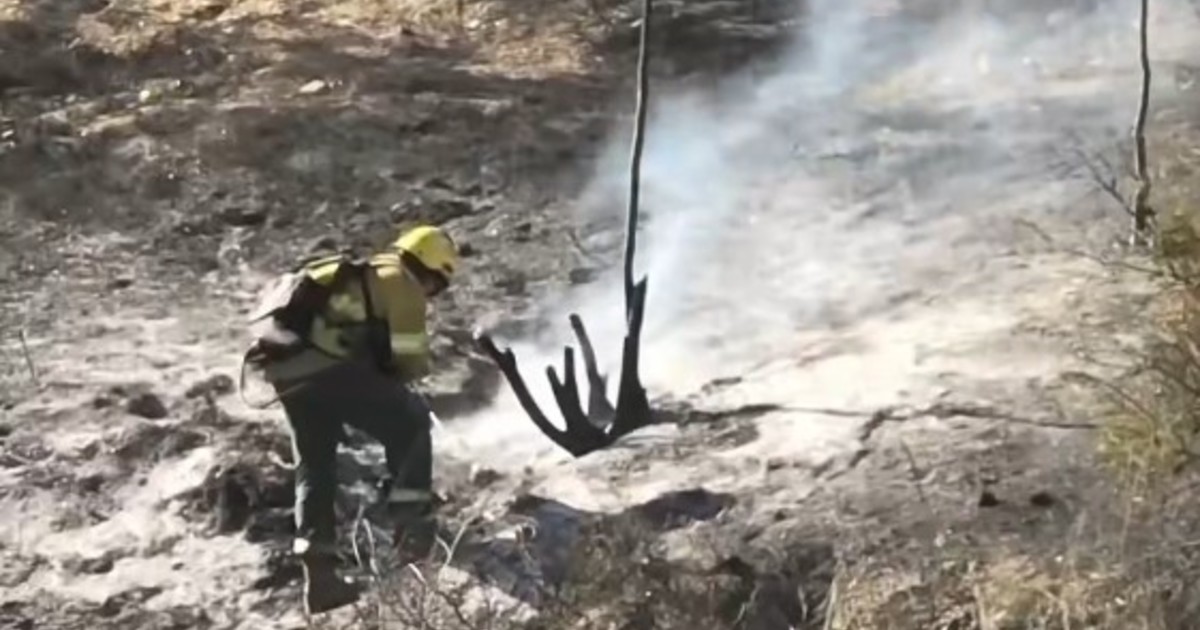 Un hombre intentó salvar a su ganado y murió en medio de los incendios en Salta - Radio Vida Maciá